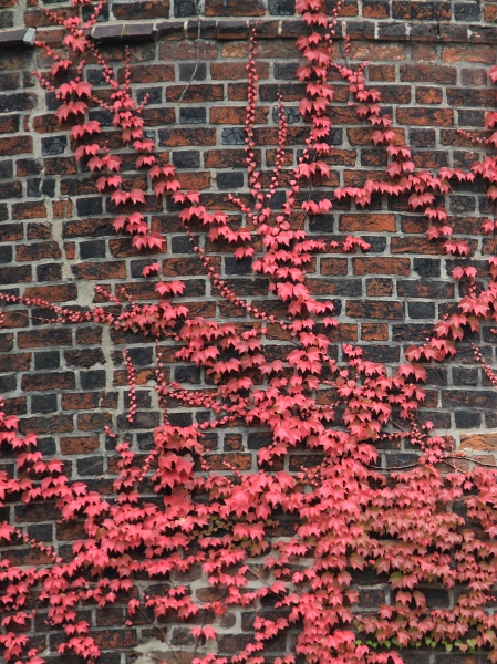Doehrenturm   010.jpg